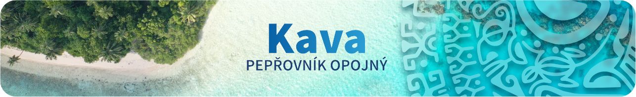 HEADER Kategorie KAVA 1285x197_b